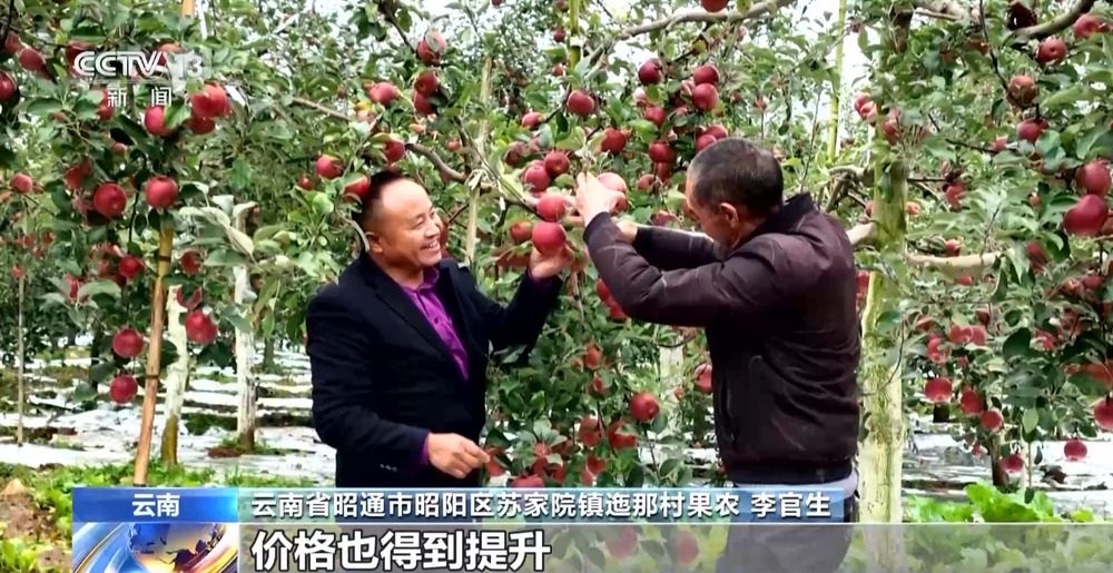 央广客户端ios央广购物网上商城官网