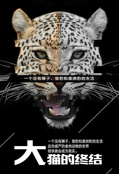 大猫电影网手机版大猫电影网在线观看免费观看